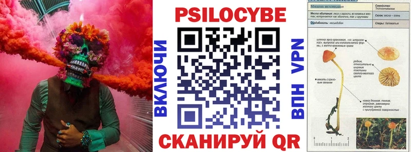 Псилоцибиновые грибы GOLDEN TEACHER  купить наркотики сайты  Кизилюрт 